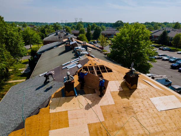 Best Storm Damage Roof Repair  in Addis, LA